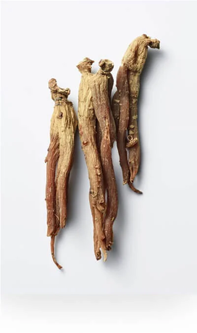 Ayurvedic Herbs